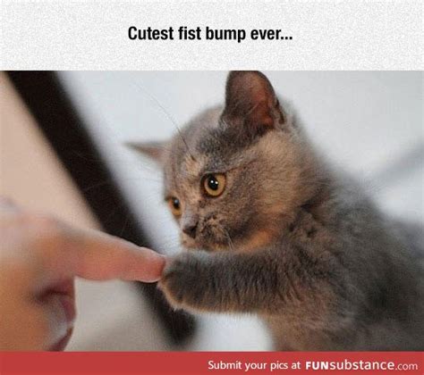 Fist Bump Funny Humor Awesome Image 4179082 By F2faver On