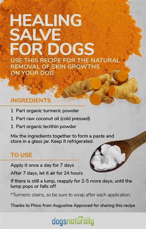 Homemade Remedy Dog Skin Natural Treatments Herbalism