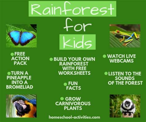 Deforestation For Kids Worksheets Worksheets For Kindergarten