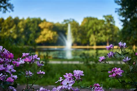 Mai wieder auf dem deutschmühlenweiher. Flektogon 35mm Celle französischer Garten Foto & Bild ...