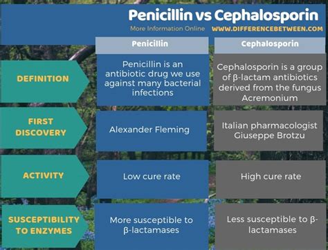 Difference Between Penicillin And Cephalosporin Compare The