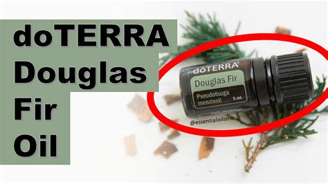 Doterra Douglas Fir Essential Oil Benefits And Uses