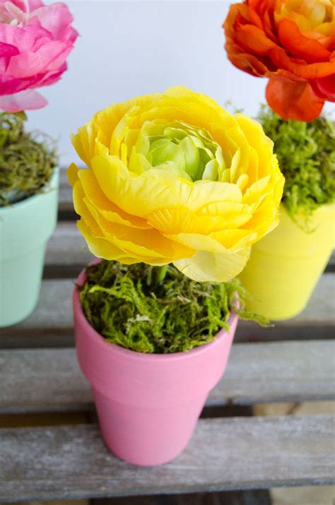 Look for varieties that open blossoms in a rainbow of hues. Flower Pot Craft & Centerpiece - Love The Day