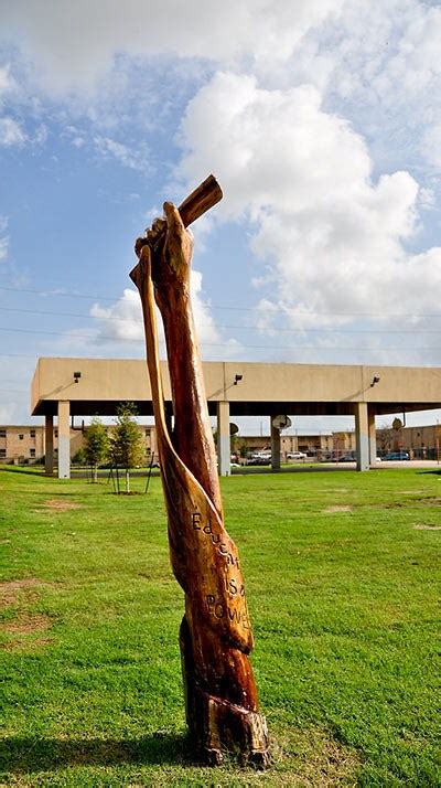 Dead Tree Sculptures In Galveston Island Cool Damn Pictures