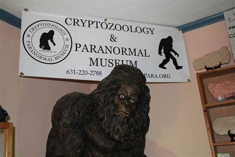Cryptozoology And Paranormal Museum Littleton 2021 Ce Quil Faut