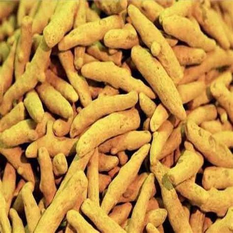Fresh Organic Turmeric Finger At Best Price In Agra Testa