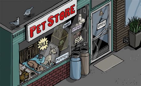 3380 fairfield ave, bridgeport ct 06605. I Worked at a Large Commercial Pet Store, And What they Do ...