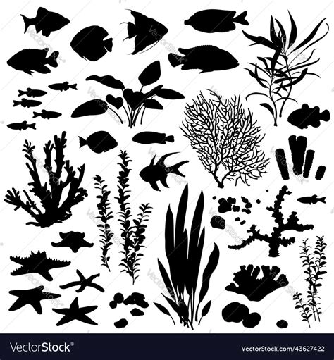 Black And White Silhouette Of A Sea Coral Reef Vector Image