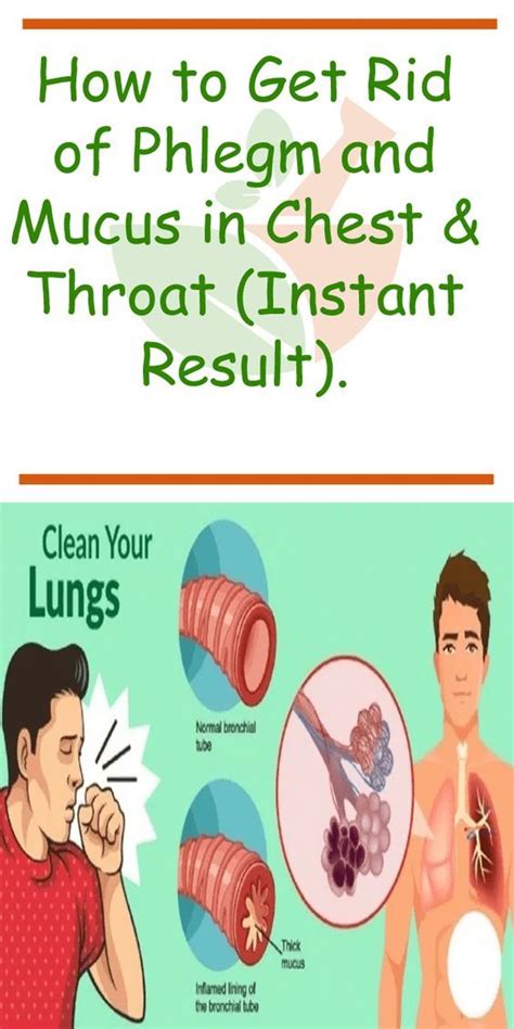 Loading How To Get Rid Of Phlegm And Mucus In Chest And Throat