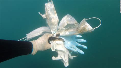 Plastic Pollution Covid Waste May Result In More Masks Than Jellyfish
