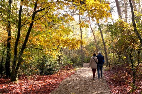 Senior Couple Walking In The Woods On A Sunny Day In Autumn Utr Franklin And Kyle Elder Law Llc