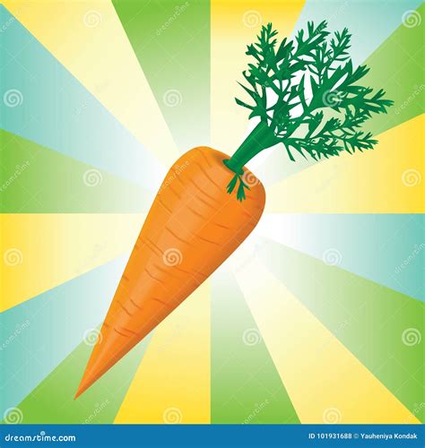 Detail Colorful Vector Illustration Of The Carrot Stock Vector