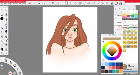 Autodesk sketchbook pro is one of them. 15+ Best Drawing and Painting Apps for Android | Derek Time