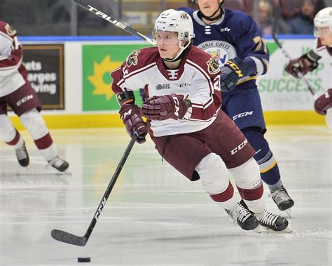 Logan Mailloux Photo Nhl Prospect Logan Mailloux Withdraws From 2021 Draft Nhl Draft S
