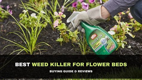 7 Best Weed Killer For Flower Beds 2021 Buying Guide