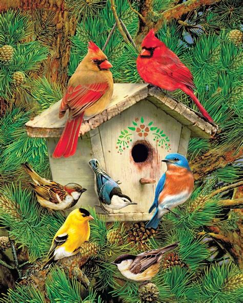 Spring Jigsaw Puzzles Jigsaw Puzzles For Adults Beautiful Birds