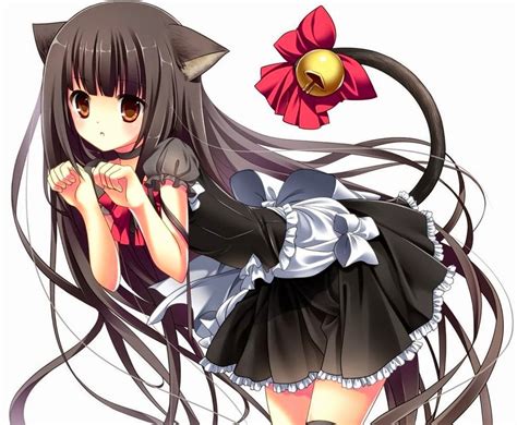 Anime Mädchen Katze Schwarze Haare Neko Mädchen Wallpaper 985x812