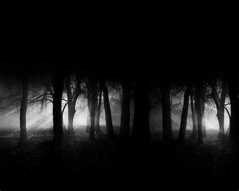 Dark Forest With Moon Wallpapers Wallpaper Cave