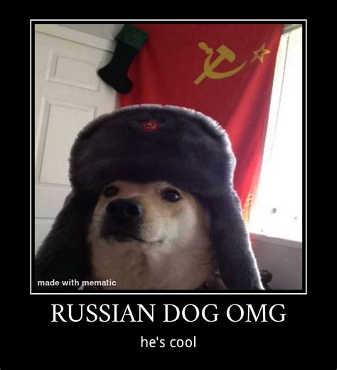 Russian Doggo 🦹 Rshitposting