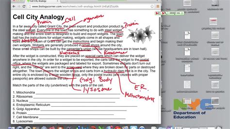 Animal cell city analogy examples. Worksheet Cell City Analogy Worksheet Answers Grass Fedjp ...