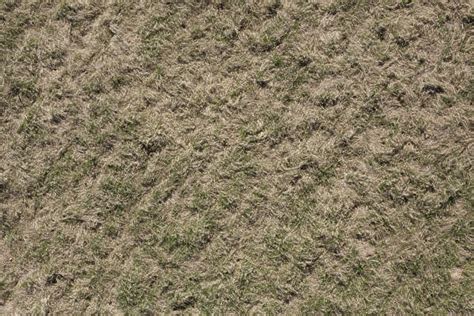 Grassdead0091 Free Background Texture Aerial Grass Dead Dry Long