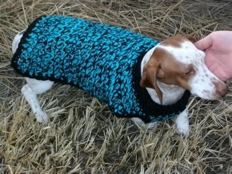 Copper Llama Studio Dog Sweater Crochet Patterns