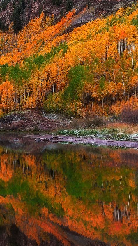 Fall Foliage Forest Lake Nature Reflection 4k Hd Nature Wallpapers Hd
