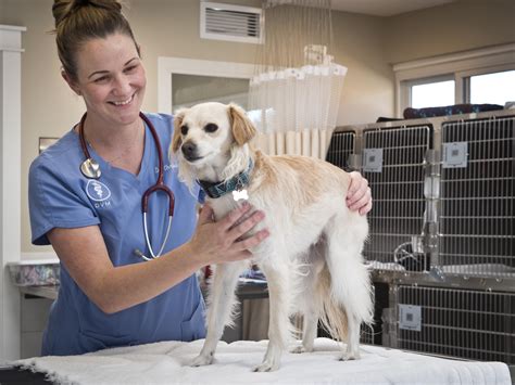 Humane Society Welcomes New Director of Veterinary Services - Humane Society of Ventura County