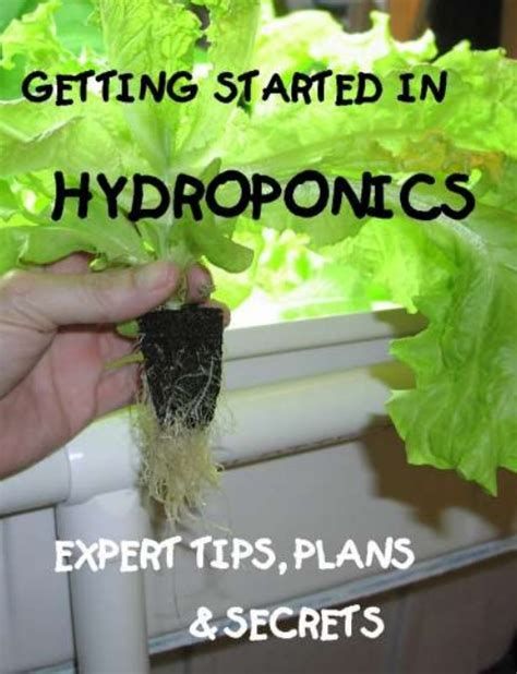 Getting Started In Hydroponics Noebooks