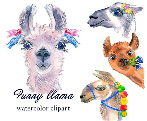 Watercolor Lama Clipart Alpacas Portrait Cute Llama With Etsy
