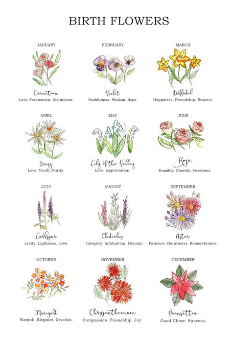 Celebrate A Special Birthday With Our Birth Flower Artwork Print