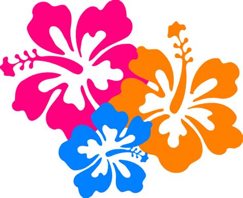 Free Cartoon Hibiscus Flower Download Free Cartoon Hibiscus Flower Png