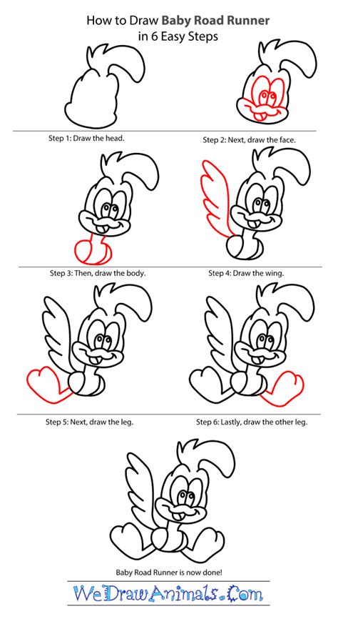 How To Draw Baby Road Runner From Looney Tunes