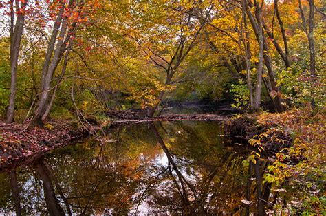 Autumn Forest River Wallpaper Nature And Landscape Wallpaper Better