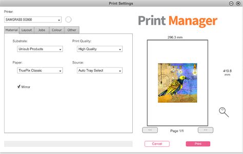 Dye sublimation printing overview with Sawgrass inks