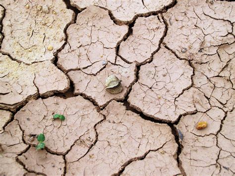 Arid Barren Clay Cracks Desert Dirt Drought Dry Dryness Earth