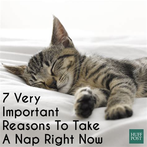 7 Very Important Reasons To Take A Nap Right Now Huffpost