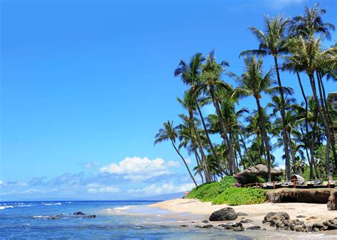 Hawaiian Island Cruise January 17 26 2020 South