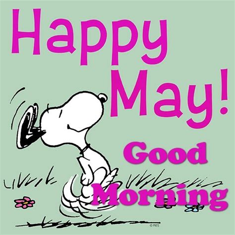 Happy May Good Morning Pictures Photos And Images For Facebook