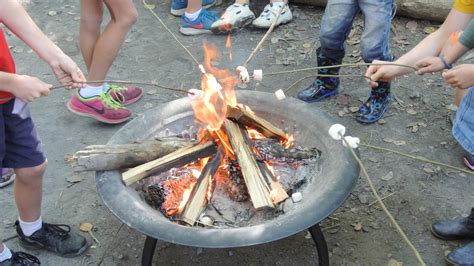 Nature Play Workshops For Teachers And Educators — Wildlings Forest School