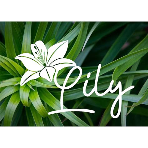 Lily Flower Name Vinyl Decal Sticker Custom Etsy