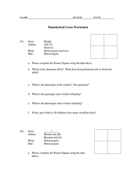 Worksheets are dihybrid cross practice answer key,. 14 Best Images of Monohybrid Cross Worksheet Answer Key ...