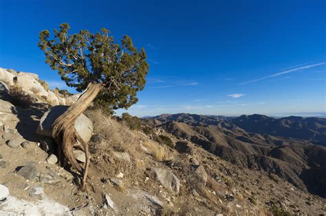 How To Make California State Park Camping Reservations