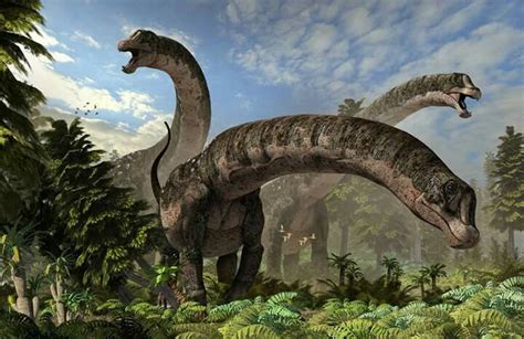 Dreadnoughtus Schrani Prehistoric Animals Dinosaur Pictures