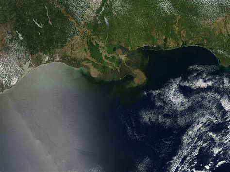Gulf Of Mexico Dead Zone Could Explode To The Size Of Massachusetts
