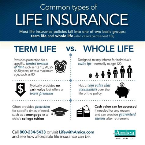 A Guide To Life Insurance Dividends Through Your Whole Life Insurance