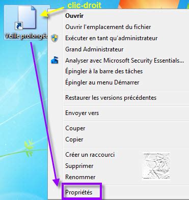 comment créer un raccourci sur le bureau plutôt que de lancer son navigateur puis de taper l'url de son site internet favori dans la barre d'adresse, nous vous proposons votre raccourci est créé sur le bureau. Raccourci pour mettre l'ordinateur en mise en veille prolongée - Windows 7 - Vista | Windows 10 ...