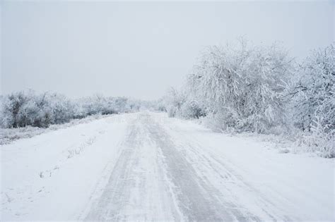 Dirt Road In The Forest In Winter Stock Image Image Of Frosty