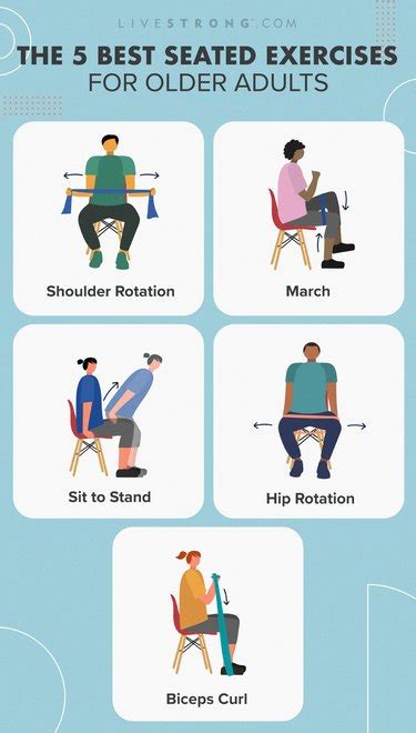 The 5 Best Seated Exercises For Older Adults Livestrong