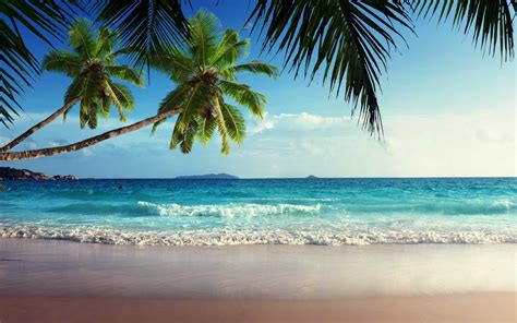 Tropical Beaches Desktop Wallpapers Top Free Tropical Beaches Desktop